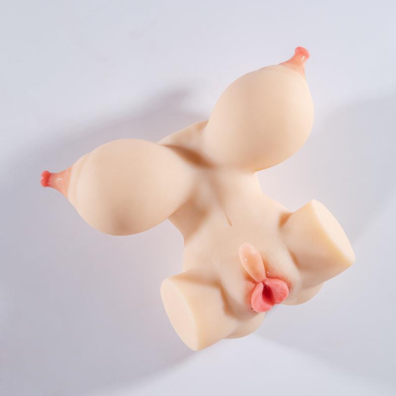 22cm Monica BBW Life Like Sex Torso Toy AiYuan Doll